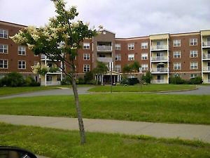 Primary Photo - 51 Parkland Rentals