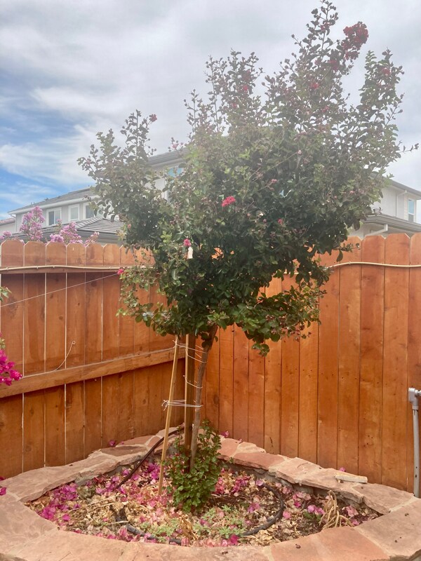 Foto del edificio - 3213 Showcase Way