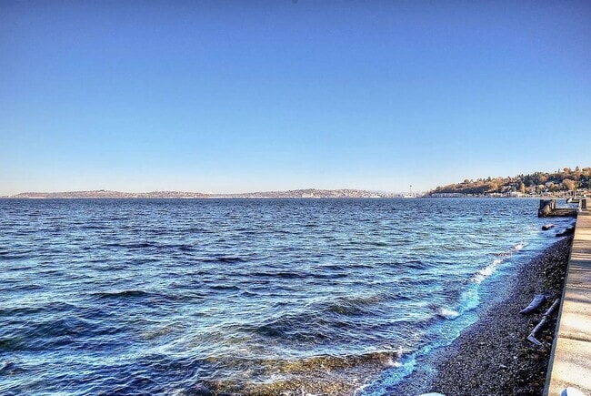 Building Photo - Location, Location, Location! - Modern one bedroom near Alki Point Lighthouse