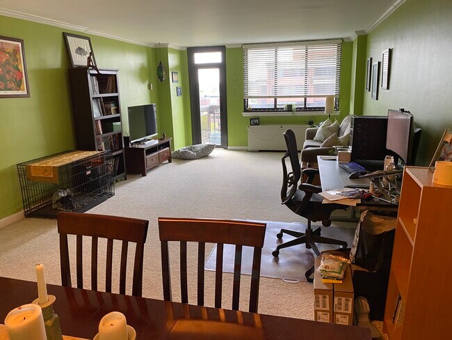 Living Room - 801 N Pitt St