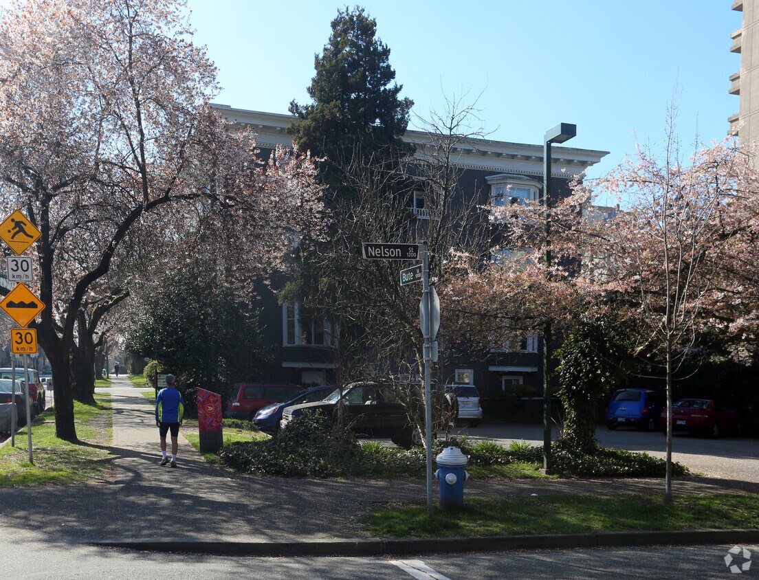 Primary Photo - Nelson Plaza