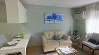 This single-floor space presents a thoughtfully arranged living area that combines comfort and style in a compact layout. The living room is defined by its soft sage-green walls, which create a calming, neutral backdrop that pairs well with the warm-toned wood laminate flooring beneath. A tufted cream leather loveseat serves as the centerpiece of the seating area, accented by a coordinating blue geometric throw pillow that ties into the room's color palette. Above the sofa, a striking triptych canvas artwork depicting a vivid blue floral motif adds a bold visual focal point to the space. A woven area rug anchors the seating arrangement, while a decorative coffee table with natural elements adds texture and warmth. To the right, a glass-top side table holds a lush green plant, introducing a natural element to the interior. A wall-mounted air conditioning unit is visible in the upper corner, providing practical climate control. White cabinetry is partially visible to the left, suggesting an adjoining kitchen area. The textured ceiling and overall layout contribute to a cozy, well-organized living environment.