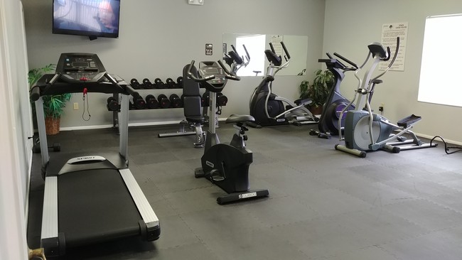 Gimnasio remodelado equipos con equipamiento nuevo - Forest Oaks Apartments