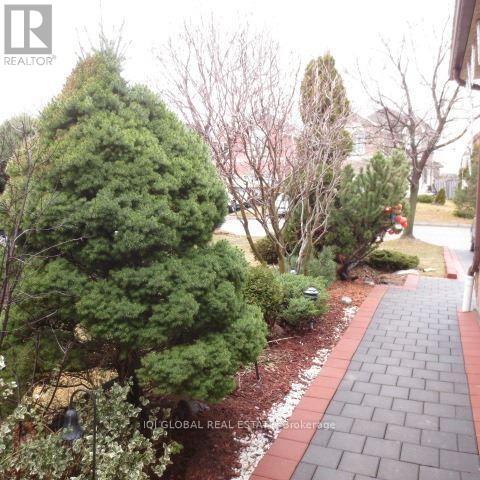 Photo du bâtiment - 33 Dewberry Dr