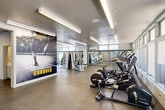Located at 3500 Edison Street in San Mateo, California, this fitness center offers a comprehensive, single-floor facility designed to support a wide range of workout routines. The main exercise room is expansive and bathed in natural light from a continuous row of clerestory windows along the perimeter walls, complemented by sleek linear LED ceiling fixtures that create a bright, energizing atmosphere. The main floor is lined with a full array of cardio equipment — including treadmills, ellipticals, and stationary bikes — arranged along floor-to-ceiling mirrors that amplify the sense of space. A motivational large-format wall mural serves as a bold visual anchor throughout the space. A dedicated functional training room houses a dumbbell rack, adjustable bench, heavy bag, TRX suspension system, and additional free weights, with rubberized flooring suited for high-intensity training. The entrance area features glass double doors that invite natural light from the street and opens onto the main floor. A connecting hallway leads to men's restroom facilities, accented by a window framing views of mature trees. The overall design is clean and modern, with neutral gray tones, durable flooring, and thoughtful equipment placement that maximizes both functionality and flow throughout the space.