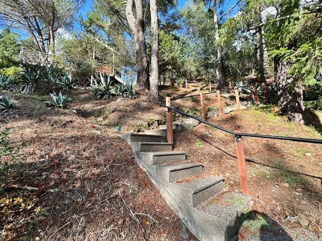 Building Photo - Mill Valley 1bd Serene Forest Cottage