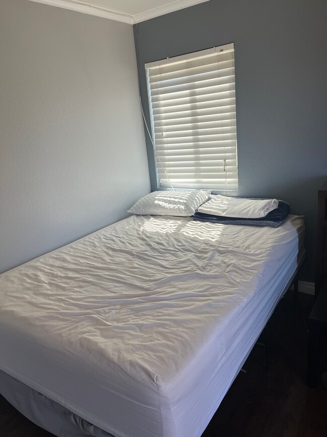 Foto del edificio - 521 Island Breeze Ln