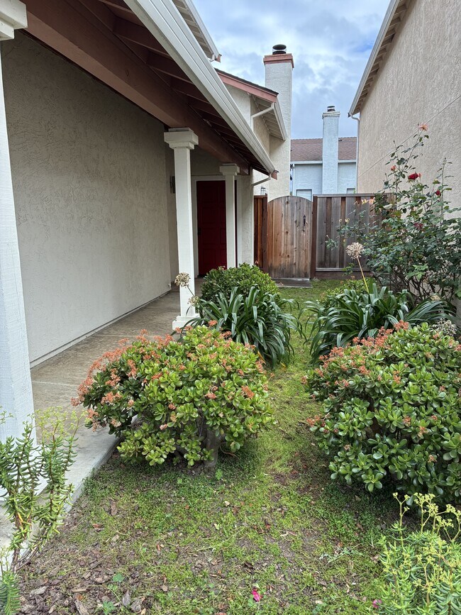 Building Photo - 706 Ridgeview Terrace