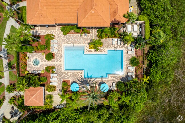 Resort Style Pool Aerial - The Preserve at Longleaf