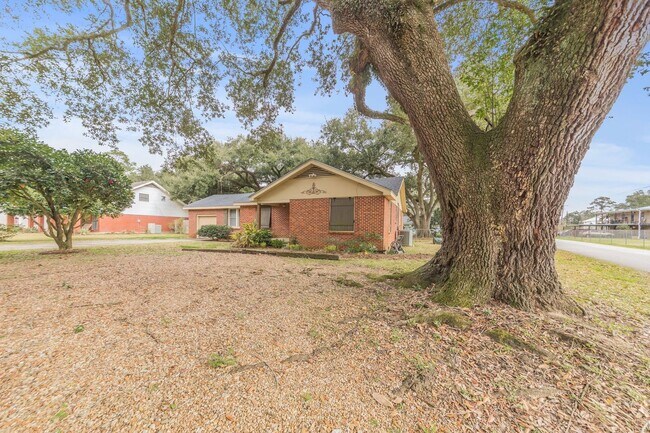 Foto del edificio - Charming 3 bed, 1 bath house!