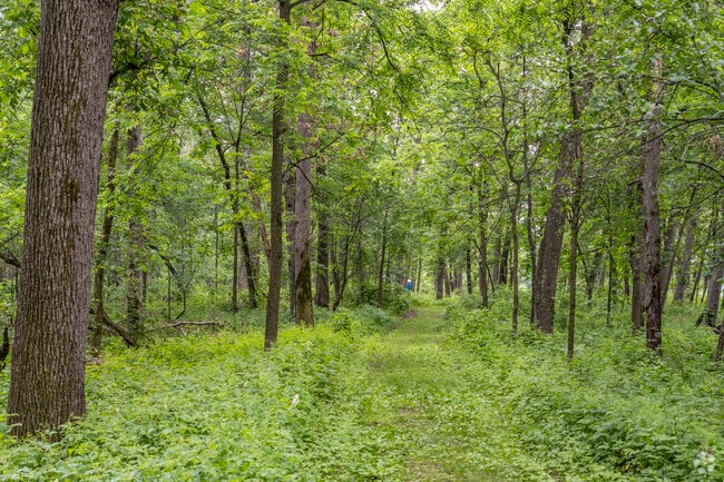 Olson Oak Woods is a State Natural Area in Verona with well-maintained trails.