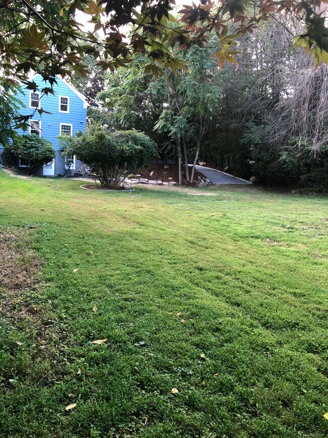 Back Yard - 36 Ferry Ln E