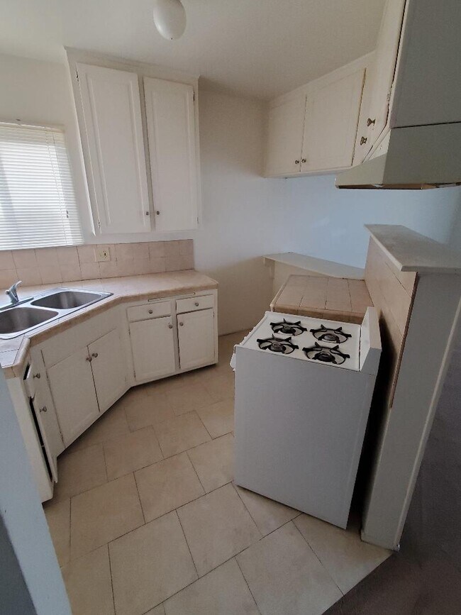 kitchen - 1141 College View Dr