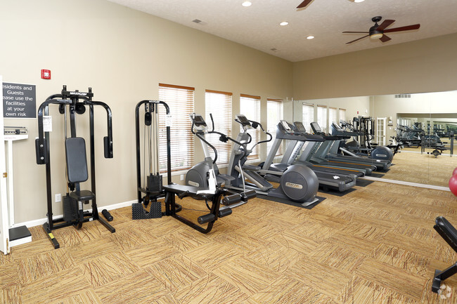 Gimnasio - Steeplechase