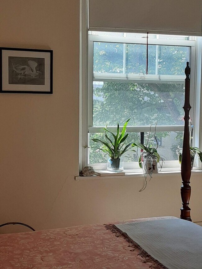 Foto del interior - 1233 Marshall / 1222-36 Cass