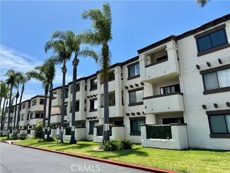 Building Photo - 3830 Avenida Del Presidente