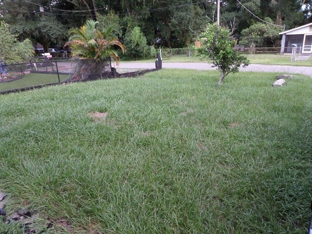 Building Photo - Cute 3bdrm/2bath House ** Section 8 OK ** Ready by 7/15** Section 8 welcome