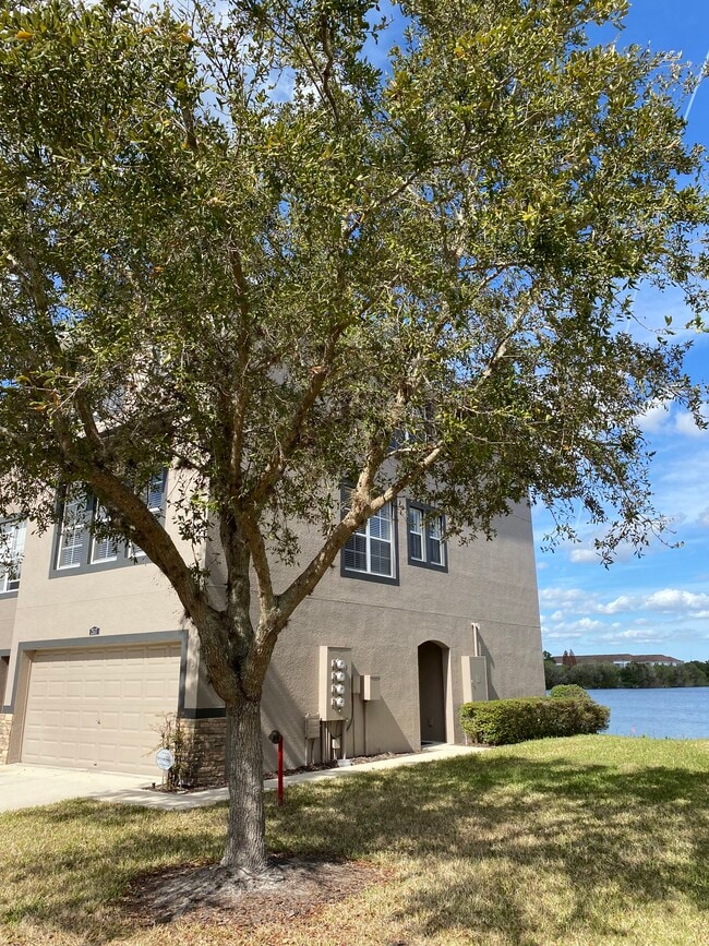 Photo - 2517 Lexington Oak Dr Townhome