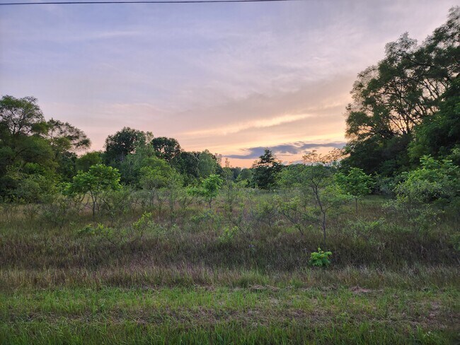 Foto del edificio - 7417 N Vassar Rd