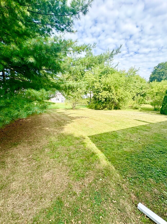 Back Yard - 146 Douglass St