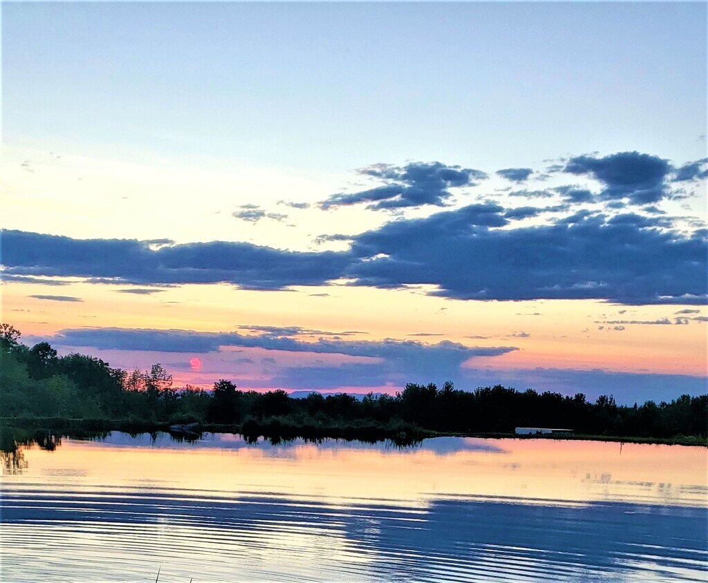 pond at sunset - 2570 N Palermo Rd