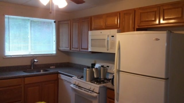 kitchen - 144 Almond Way