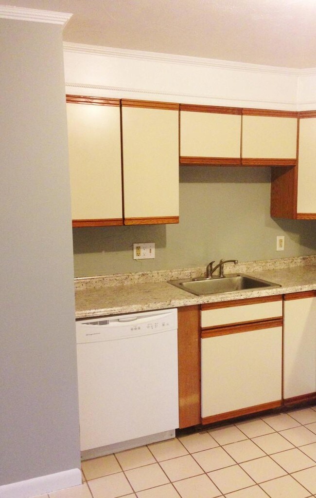 Dishwasher, cabinets, sink & counter space. - 176 Maple Ave