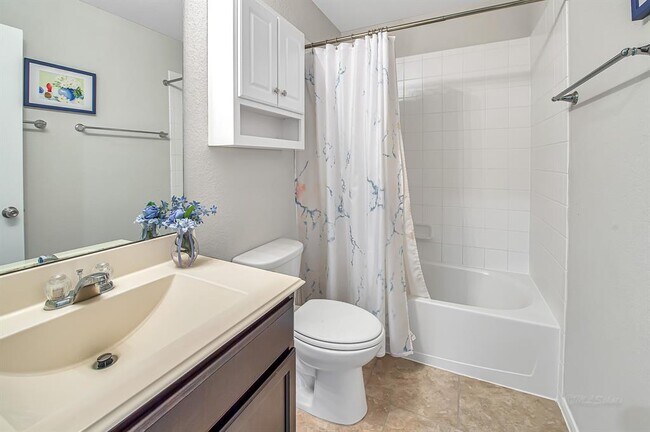 Foto del edificio - 3023 Dripping Springs Ct