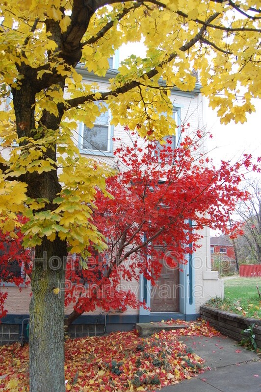 Primary Photo - 1439 Sandusky St