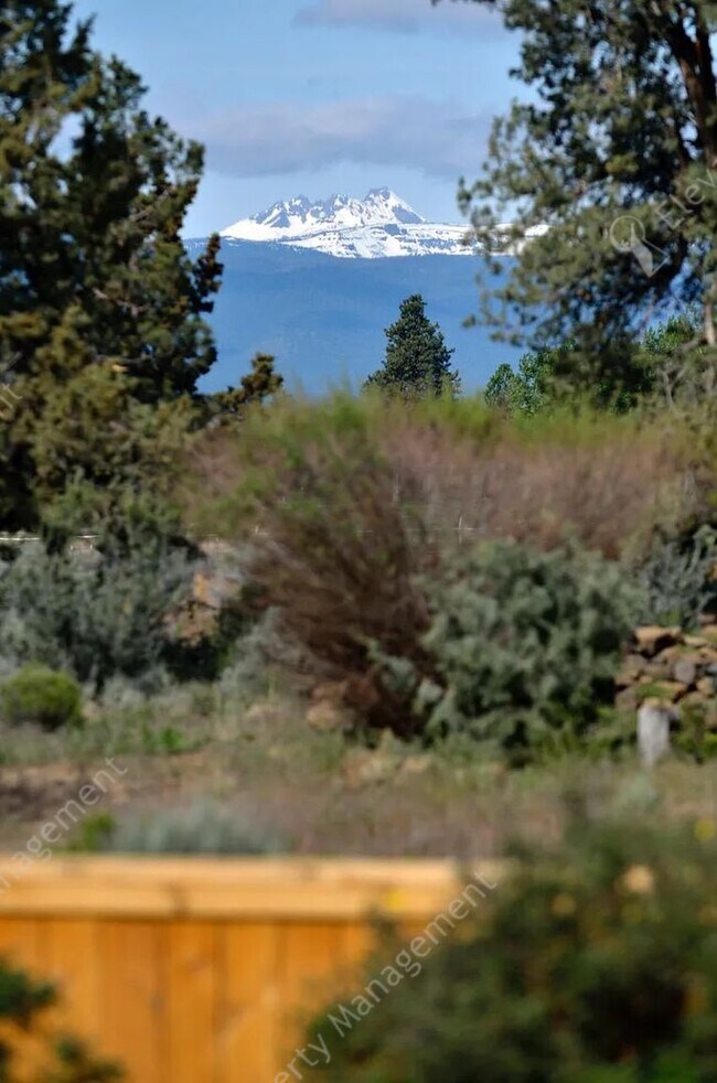 Building Photo - Coming Soon! UNFURNISHED and Updated Singl...