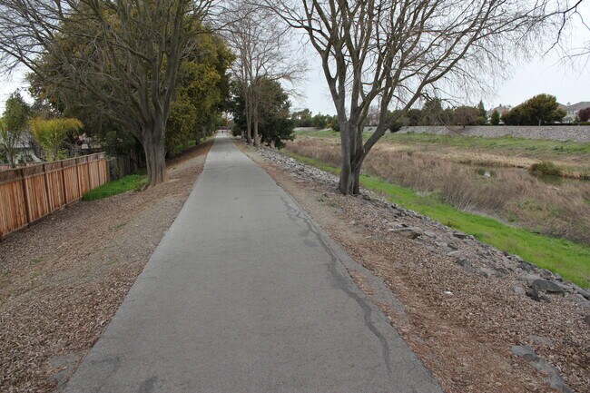 Alameda con sendero para caminar y al arroyo de ver de cerca a la izquierda en esta foto - 2801 Langhorn Dr