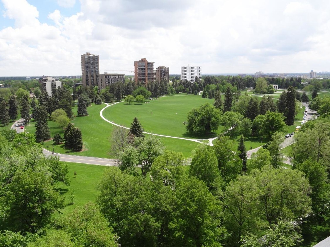 1250 Humboldt St, Denver, CO 80218 Condo for Rent in Denver, CO