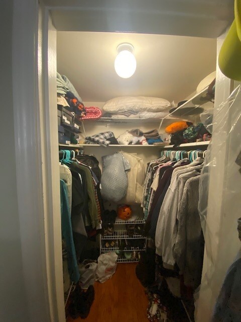 Bedroom 1 Closet - 5355 N Delphia Ave
