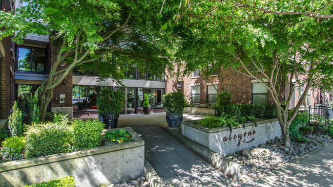 Alcyone Apartments Front Courtyard - Alcyone