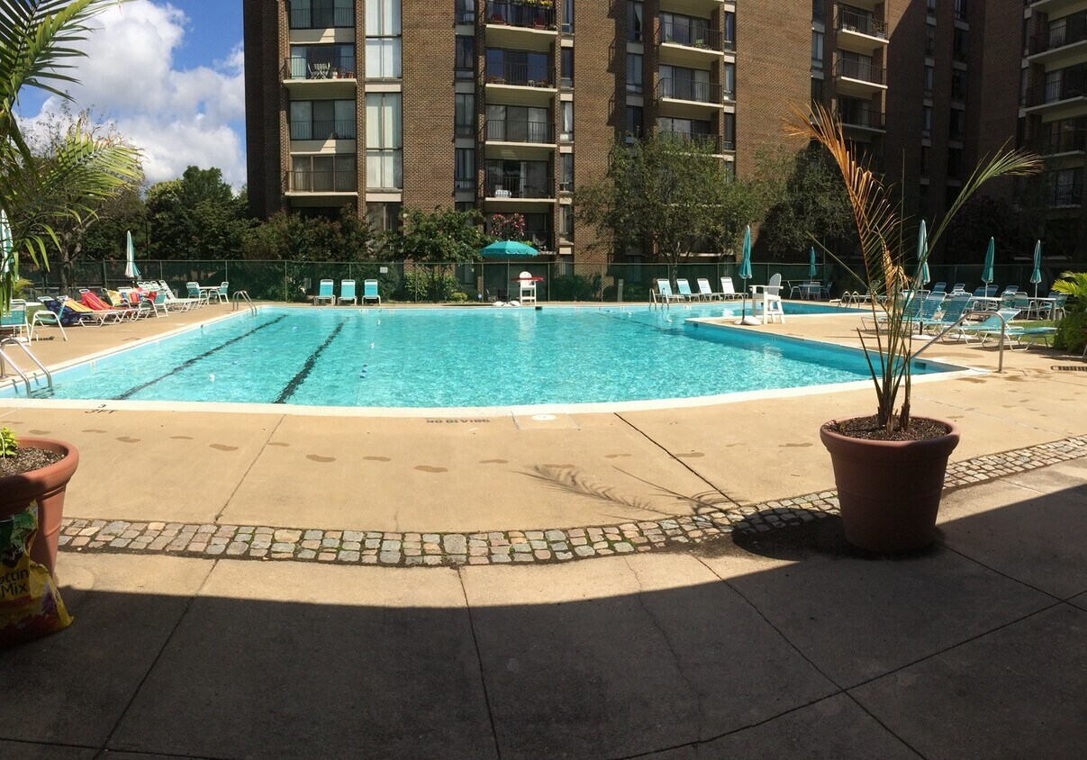9824 Ave Unit 202, Silver Spring, MD 20902 Condo for Rent in Silver Spring, MD