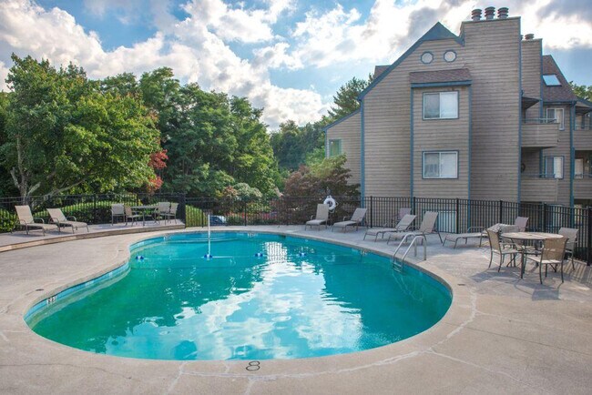 Building Photo - 1260 Ski View Dr