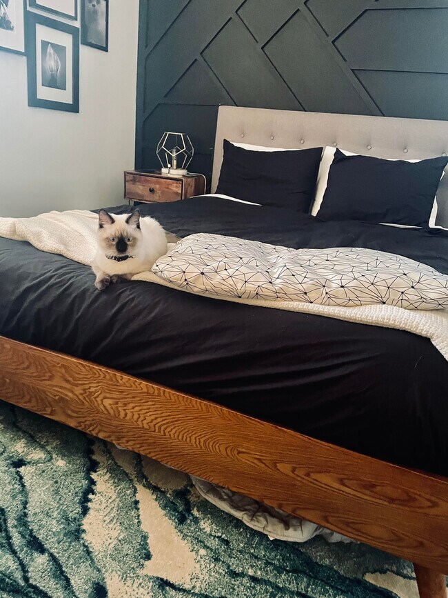 18850 Framingham Dr, Southfield, MI 48076 House Rental in Southfield