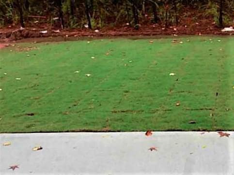 Building Photo - 1225 Apple Blossom Dr