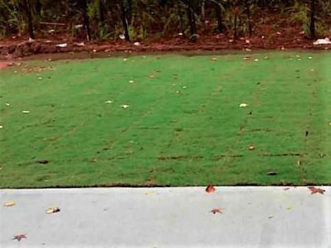 Foto del edificio - 1225 Apple Blossom Dr