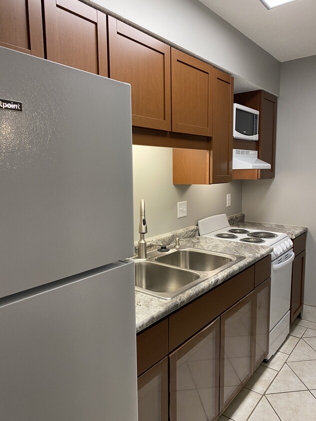 Updated modern kitchen - 919 Massachusetts St