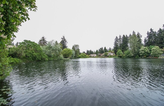 Building Photo - Echo Lake One Bedroom