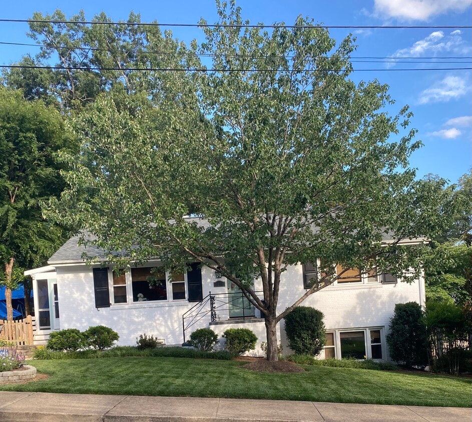 Primary Photo - 1206 Cutler Ln
