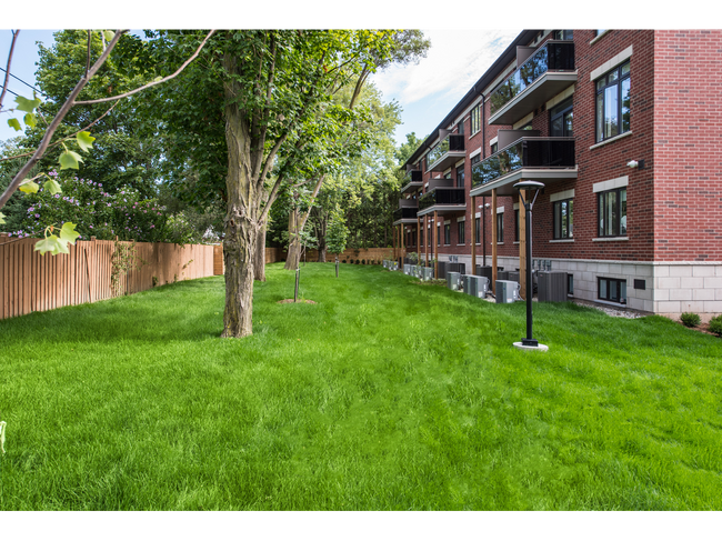 Building Photo - Rexdale Court Apartments