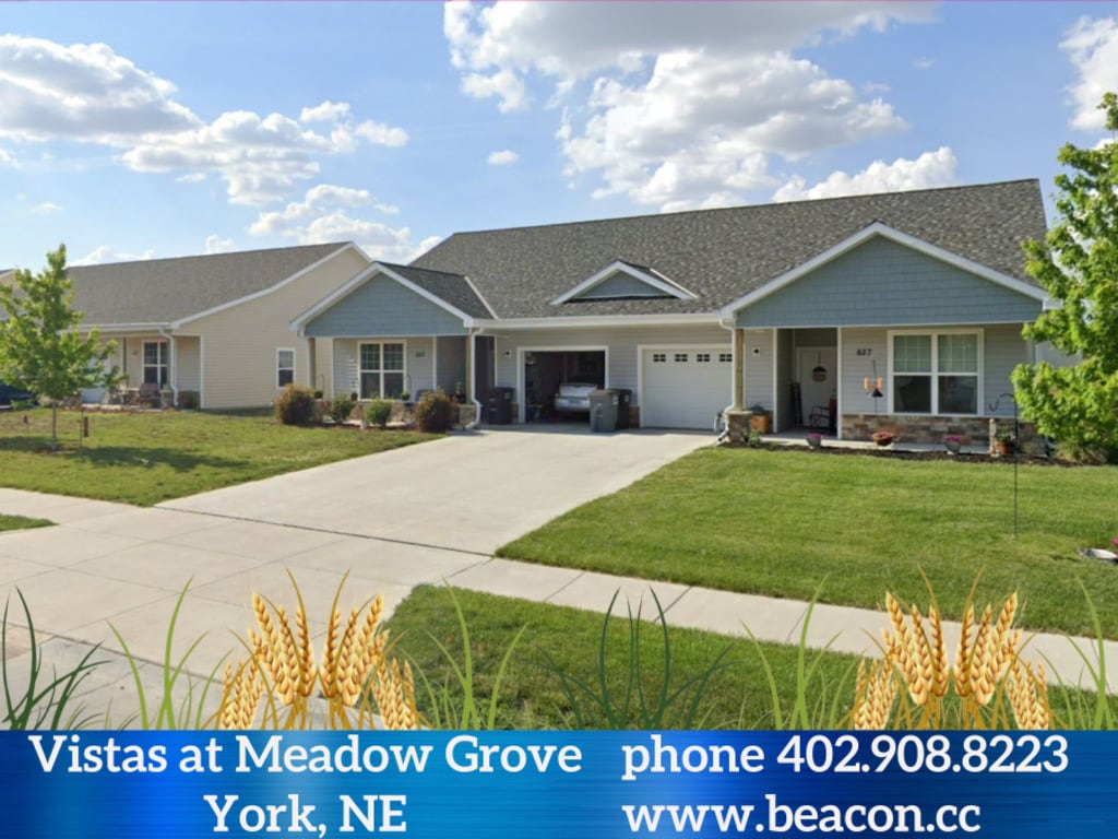 Primary Photo - Vistas at Meadow Grove