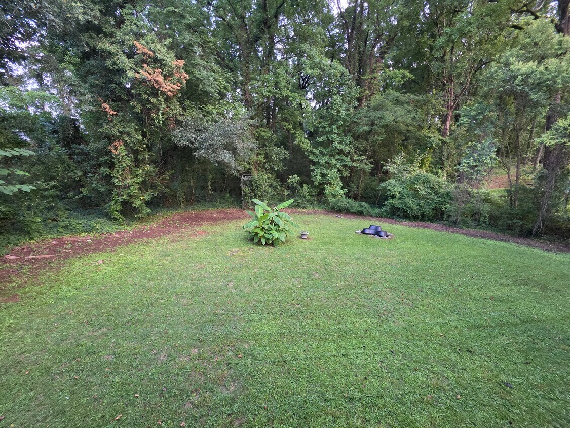 Patio trasero completo - 2621 Hemphill St