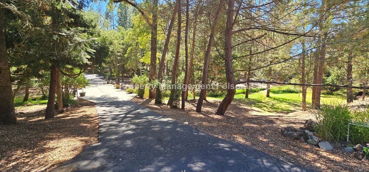 Foto principal - Charming 1-Bedroom Retreat in Desirable Ch...