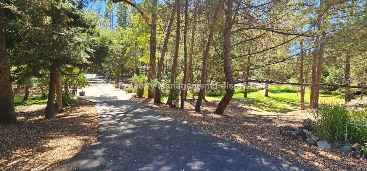 Primary Photo - Charming 1-Bedroom Retreat in Desirable Ch...