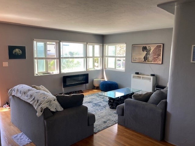 Living Room - 4584 Point Loma Ave