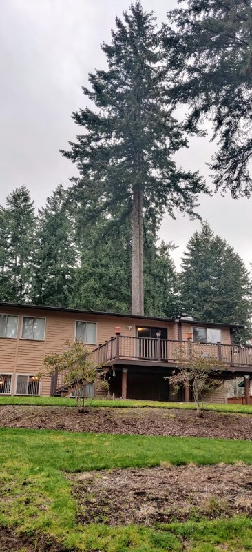 Foto del edificio - 4513 60th Ave W