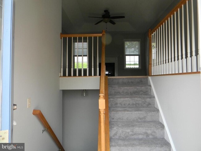 Building Photo - 103 Turtleback Ct